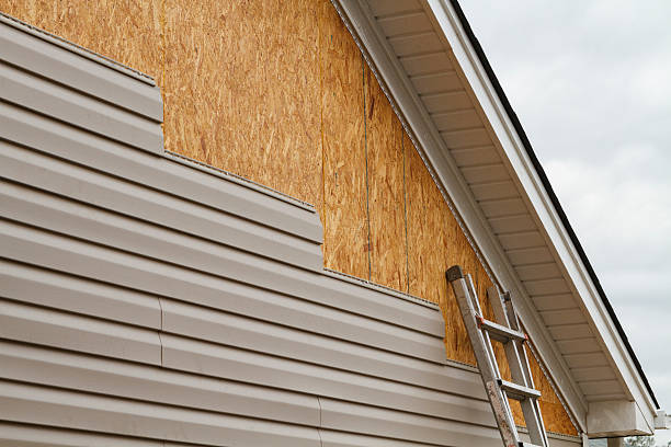 Professional Siding Inspection technician working in Cardinal, VA